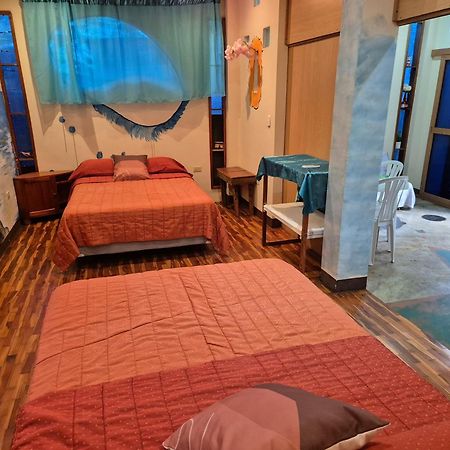 Cozy Hosting Galapagos Διαμέρισμα Puerto Ayora  Εξωτερικό φωτογραφία