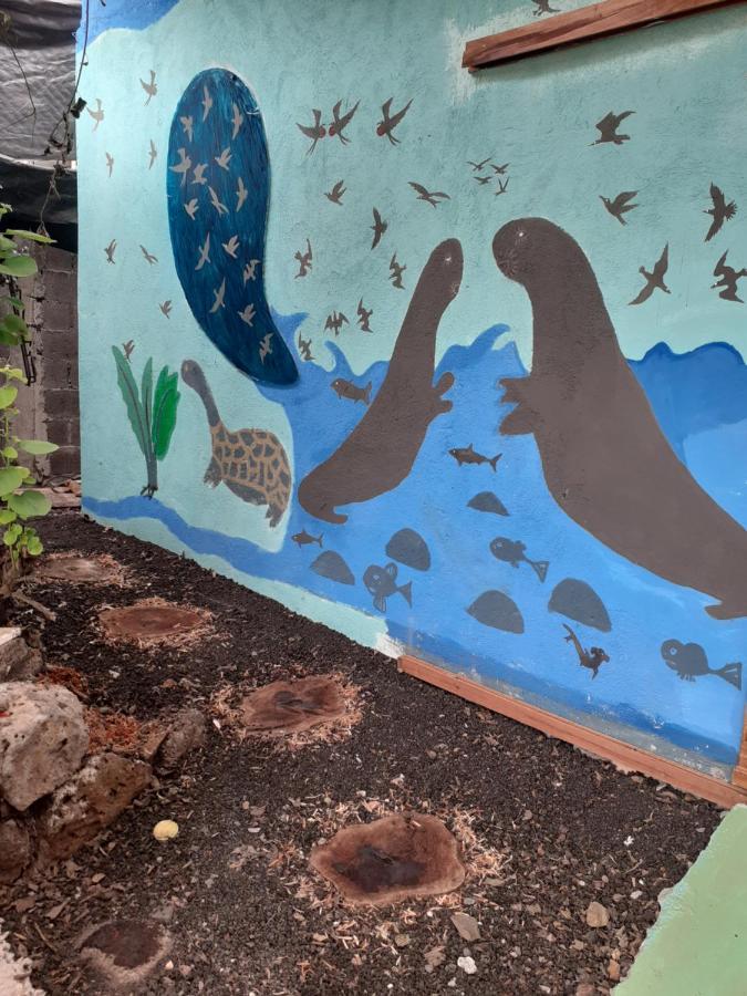 Cozy Hosting Galapagos Διαμέρισμα Puerto Ayora  Εξωτερικό φωτογραφία