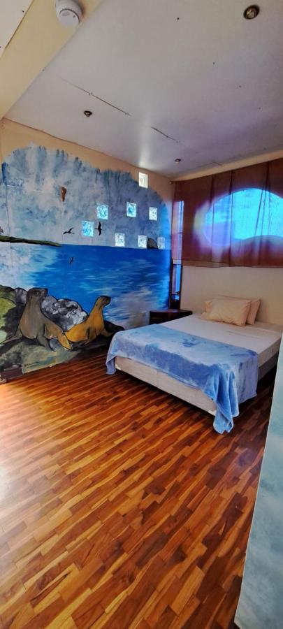 Cozy Hosting Galapagos Διαμέρισμα Puerto Ayora  Εξωτερικό φωτογραφία