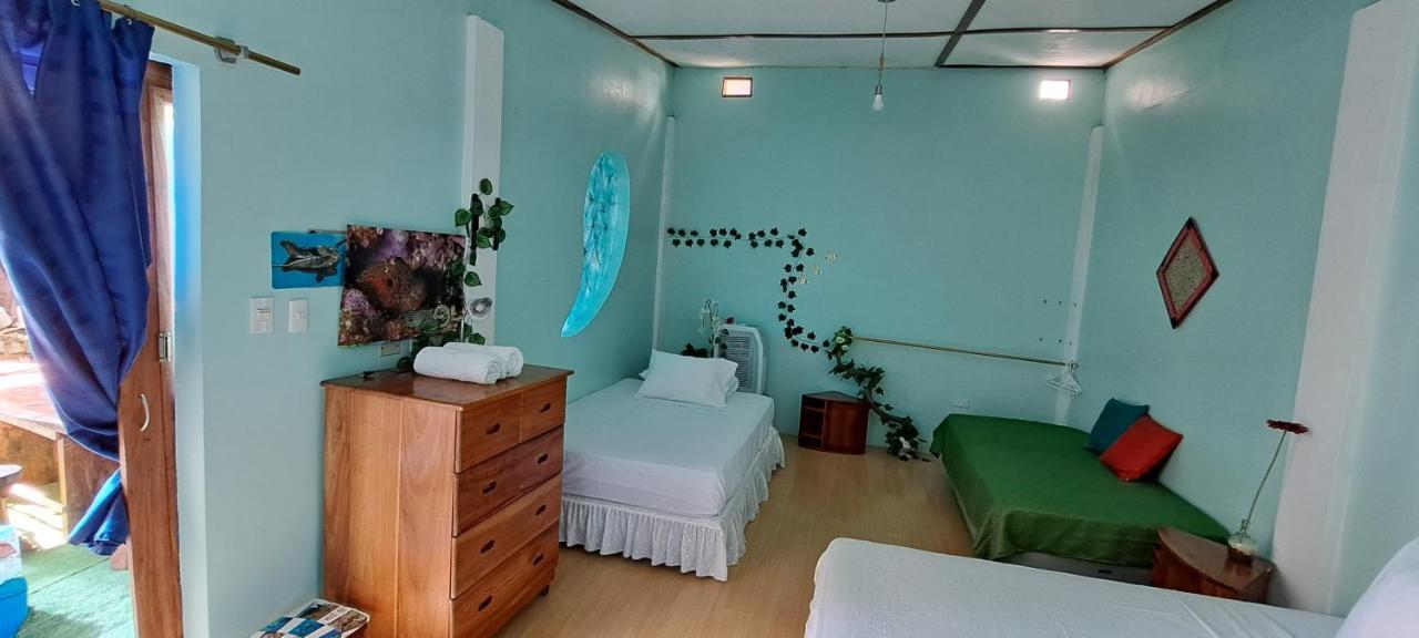 Cozy Hosting Galapagos Διαμέρισμα Puerto Ayora  Εξωτερικό φωτογραφία